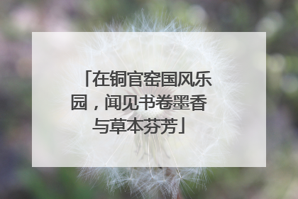 在铜官窑国风乐园，闻见书卷墨香与草本芬芳