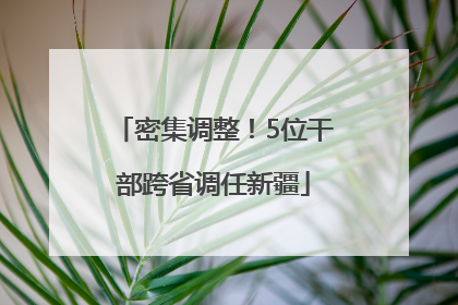 密集调整！5位干部跨省调任新疆