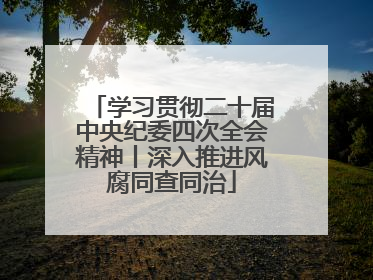 学习贯彻二十届中央纪委四次全会精神丨深入推进风腐同查同治