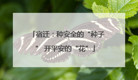 宿迁：种安全的“种子” 开平安的“花”