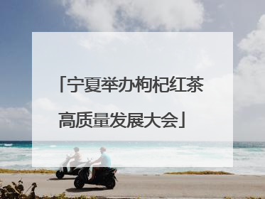 宁夏举办枸杞红茶高质量发展大会