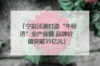 宁夏泾源打造“牛经济”全产业链 品牌价值突破35亿元