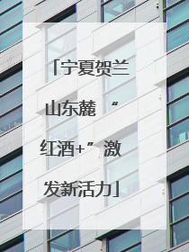 宁夏贺兰山东麓 “红酒+”激发新活力