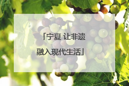 宁夏 让非遗融入现代生活