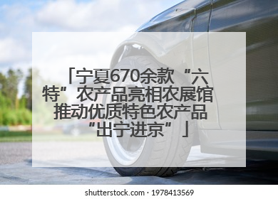 宁夏670余款“六特”农产品亮相农展馆 推动优质特色农产品“出宁进京”