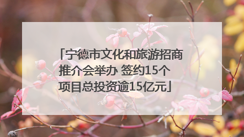 宁德市文化和旅游招商推介会举办 签约15个项目总投资逾15亿元