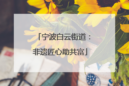宁波白云街道：非遗匠心助共富