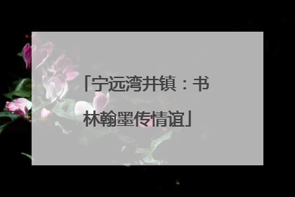 宁远湾井镇：书林翰墨传情谊