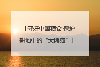 守好中国粮仓 保护耕地中的“大熊猫”