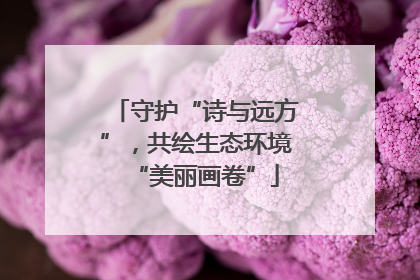 守护“诗与远方”，共绘生态环境“美丽画卷”
