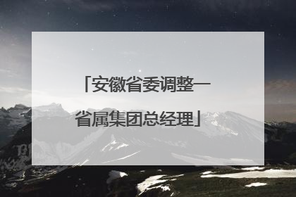 安徽省委调整一省属集团总经理