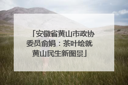 安徽省黄山市政协委员俞娟：茶叶绘就黄山民生新图景