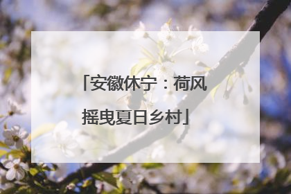 安徽休宁：荷风摇曳夏日乡村