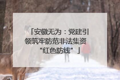 安徽无为：党建引领筑牢防范非法集资“红色防线”