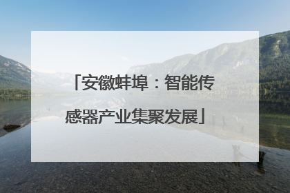 安徽蚌埠：智能传感器产业集聚发展