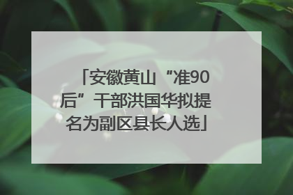 安徽黄山“准90后”干部洪国华拟提名为副区县长人选