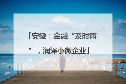 安徽：金融“及时雨”，润泽小微企业