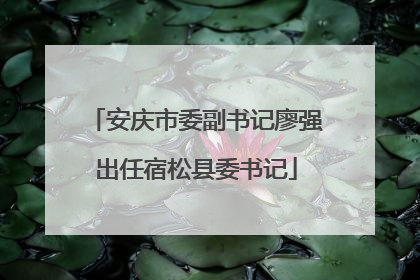 安庆市委副书记廖强出任宿松县委书记