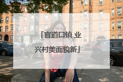 官道口镇 业兴村美面貌新