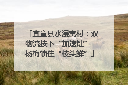 宜章县水浸窝村：双物流按下“加速键” 杨梅锁住“枝头鲜”