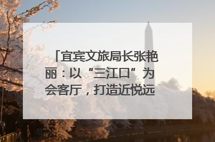 宜宾文旅局长张艳丽：以“三江口”为会客厅，打造近悦远来的国际旅游城市｜文旅局长说