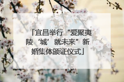 宜昌举行“爱聚夷陵‘城’就未来”新婚集体颁证仪式