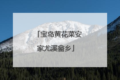 宝岛黄花菜安家尤溪畲乡