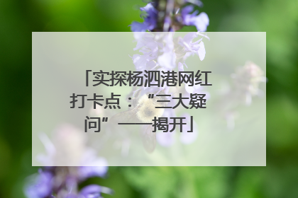 实探杨泗港网红打卡点：“三大疑问”一一揭开