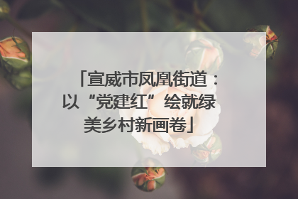 宣威市凤凰街道：以“党建红”绘就绿美乡村新画卷