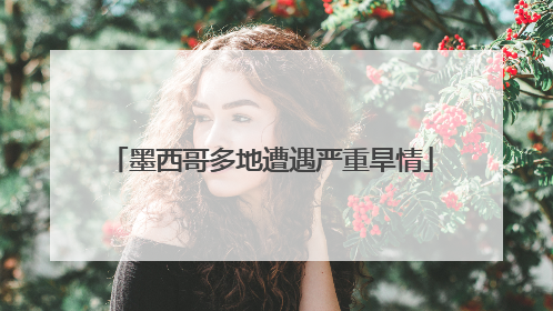 墨西哥多地遭遇严重旱情