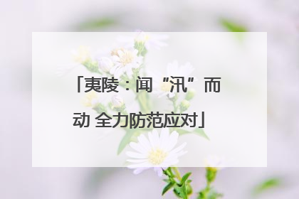 夷陵：闻“汛”而动 全力防范应对
