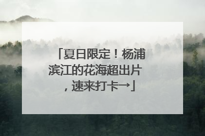 夏日限定！杨浦滨江的花海超出片，速来打卡→