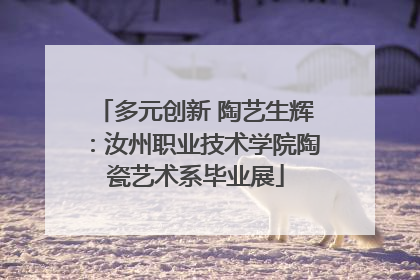 多元创新 陶艺生辉：汝州职业技术学院陶瓷艺术系毕业展