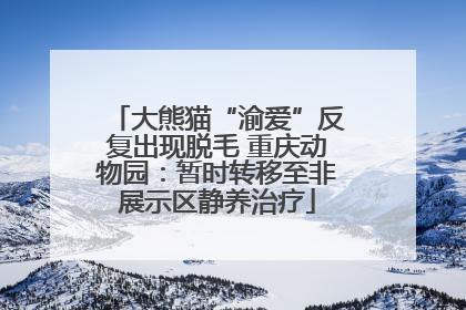 大熊猫“渝爱”反复出现脱毛 重庆动物园：暂时转移至非展示区静养治疗