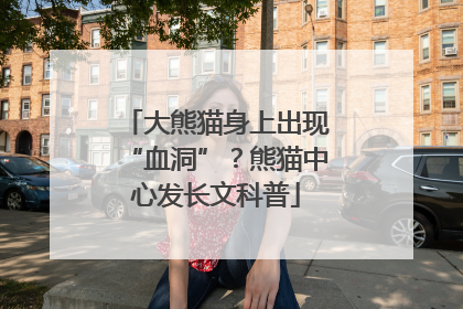 大熊猫身上出现“血洞”？熊猫中心发长文科普
