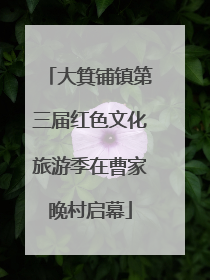 大箕铺镇第三届红色文化旅游季在曹家晚村启幕