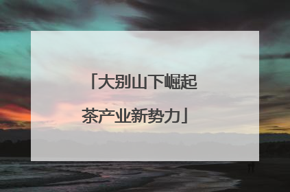 大别山下崛起茶产业新势力