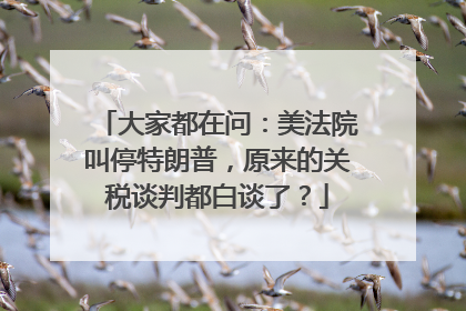 大家都在问：美法院叫停特朗普，原来的关税谈判都白谈了？