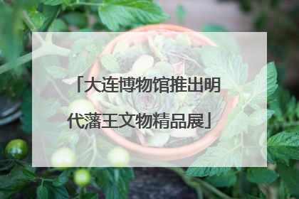 大连博物馆推出明代藩王文物精品展