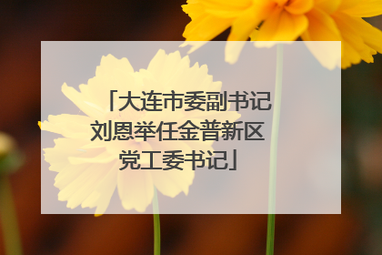 大连市委副书记刘恩举任金普新区党工委书记