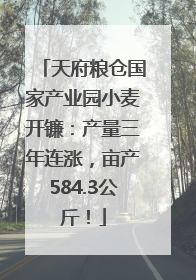 天府粮仓国家产业园小麦开镰：产量三年连涨，亩产584.3公斤！