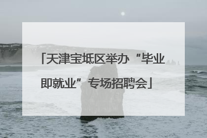 天津宝坻区举办“毕业即就业”专场招聘会