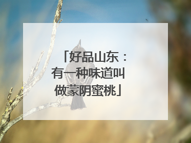 好品山东：有一种味道叫做蒙阴蜜桃