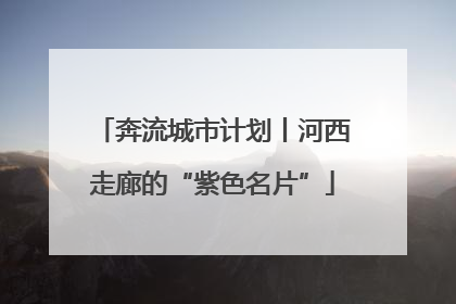 奔流城市计划丨河西走廊的“紫色名片”