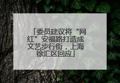 委员建议将“网红”安福路打造成文艺步行街，上海徐汇区回应