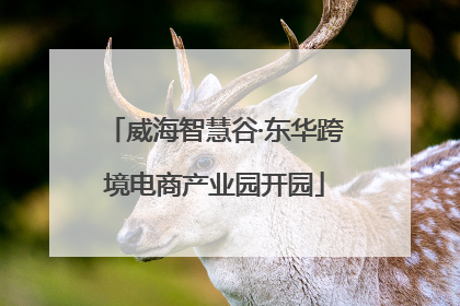 威海智慧谷·东华跨境电商产业园开园