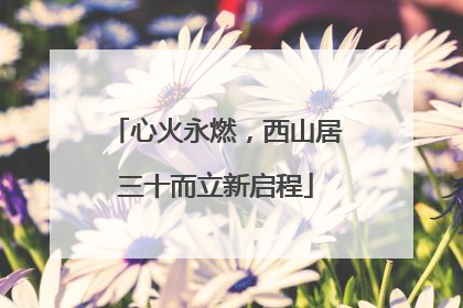 心火永燃，西山居三十而立新启程