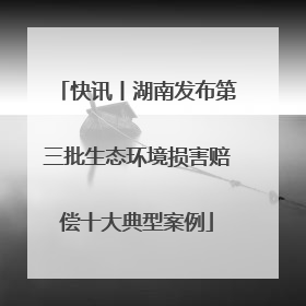 快讯丨湖南发布第三批生态环境损害赔偿十大典型案例