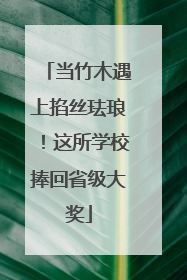 当竹木遇上掐丝珐琅！这所学校捧回省级大奖