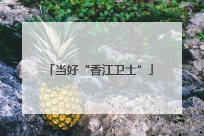 当好“香江卫士”